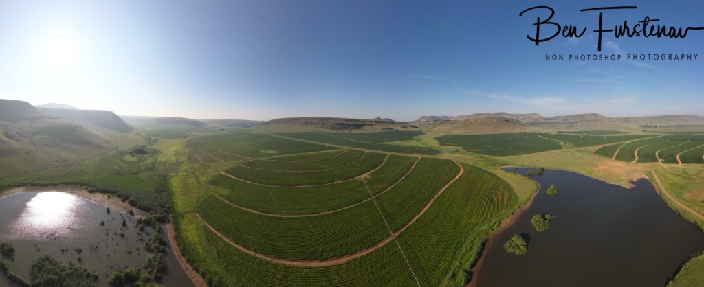 Maarmannshoek, Free State, South Africa, Africa