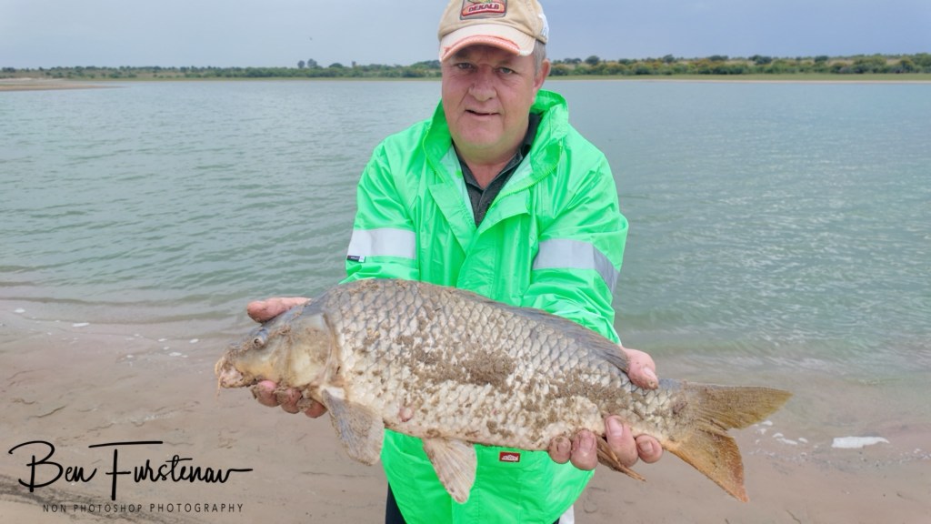 Rondevlei, Free State, South Africa, Africa