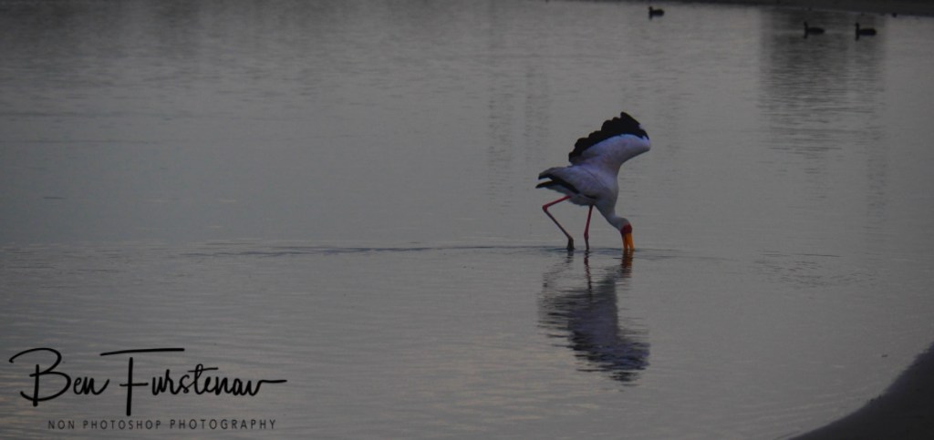 Rondevlei, Free State, South Africa, Africa