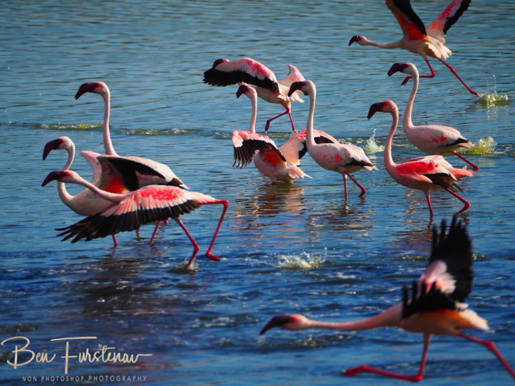 Hoopstad, Free State, South Africa, Africa