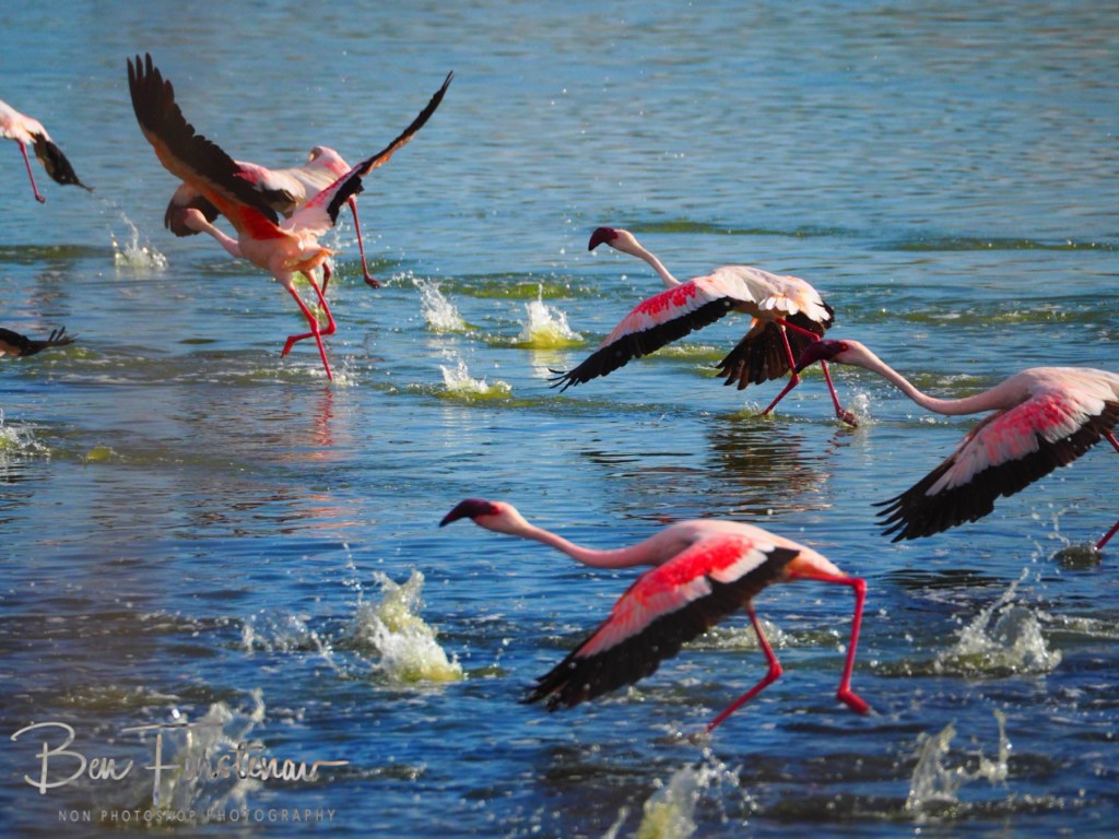 Hoopstad, Free State, South Africa, Africa