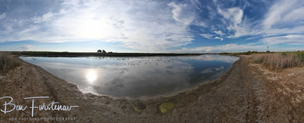 Hoopstad, Free State, South Africa, Africa