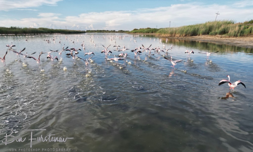Hoopstad, Free State, South Africa, Africa