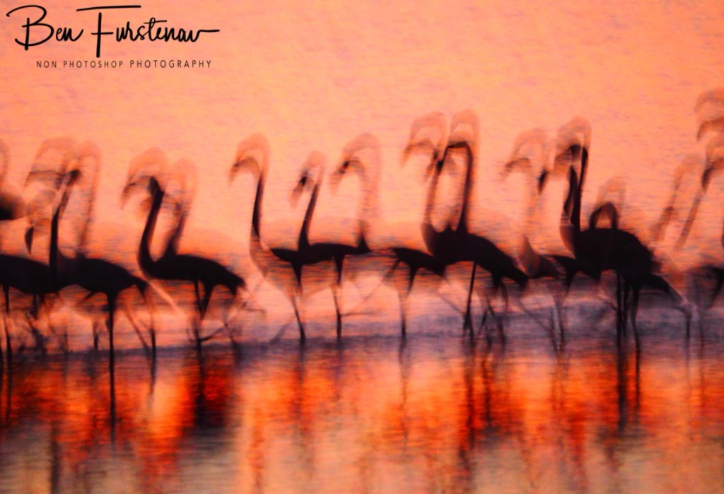 Hoopstad, Free State, South Africa, Africa