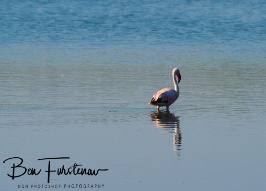 Hoopstad, Free State, South Africa, Africa