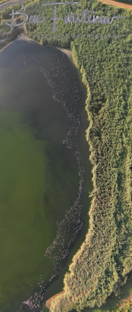 Hoopstad, Free State, South Africa, Africa