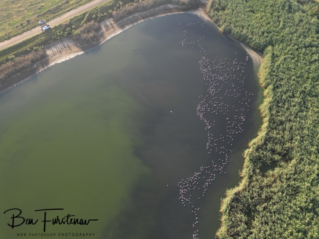 Hoopstad, Free State, South Africa, Africa