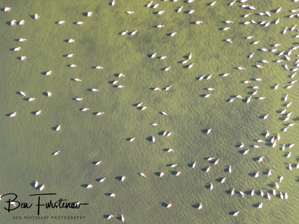 Hoopstad, Free State, South Africa, Africa