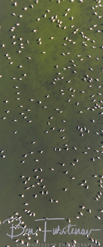 Hoopstad, Free State, South Africa, Africa