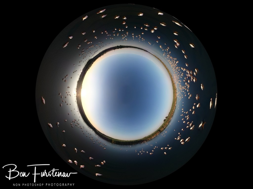 Hoopstad, Free State, South Africa, Africa