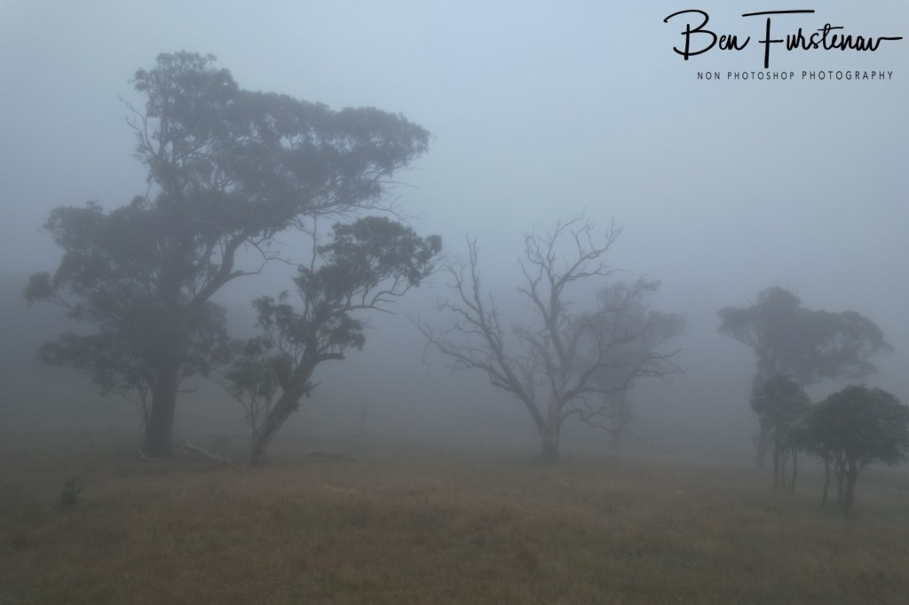 New England, New South Wales, Australia