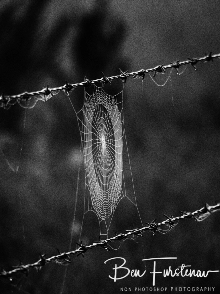 New England, New South Wales, Australia