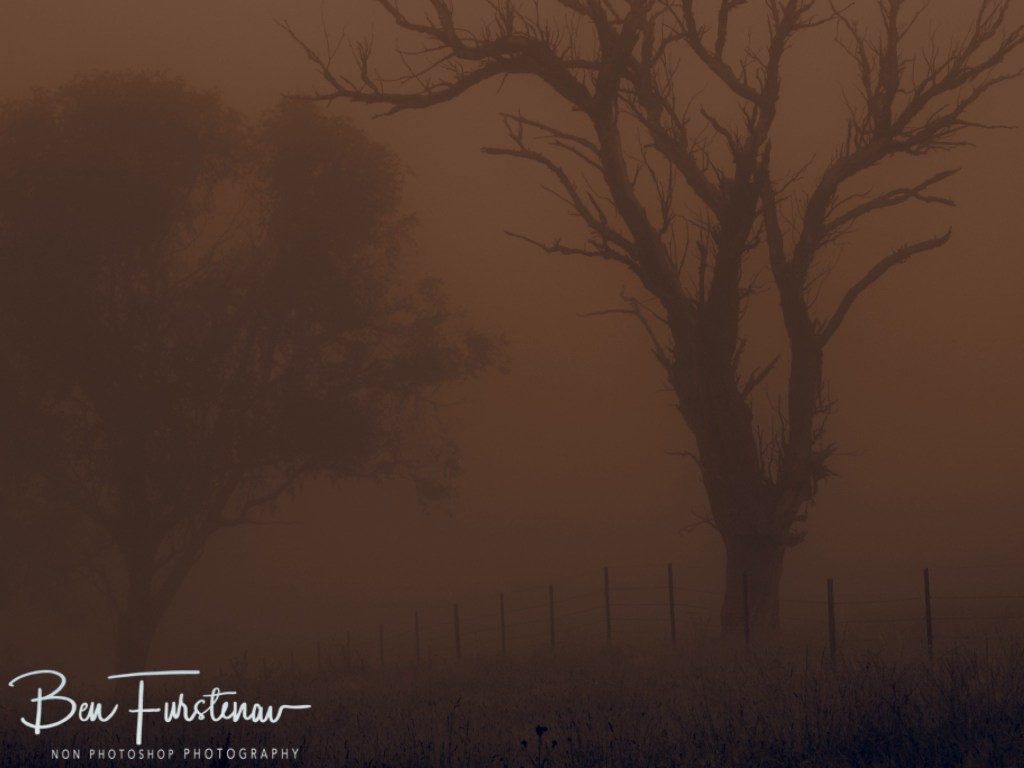 New England, New South Wales, Australia