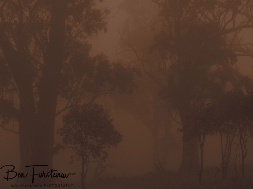 New England, New South Wales, Australia