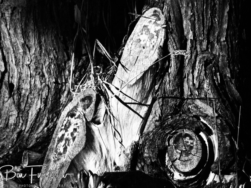 New England, New South Wales, Australia