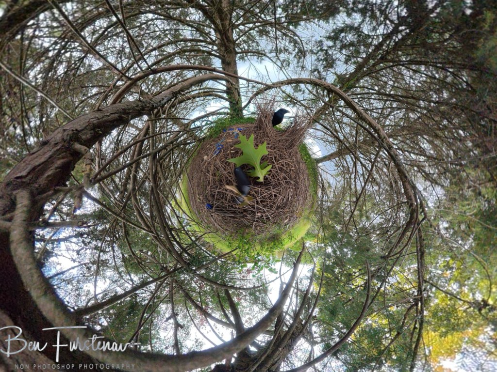 New England, New South Wales, Australia