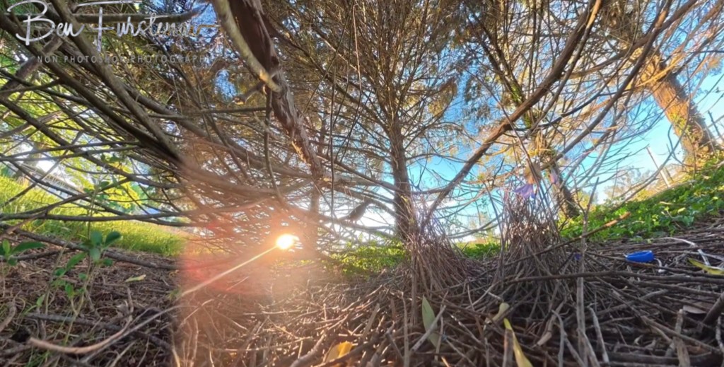 New England, New South Wales, Australia