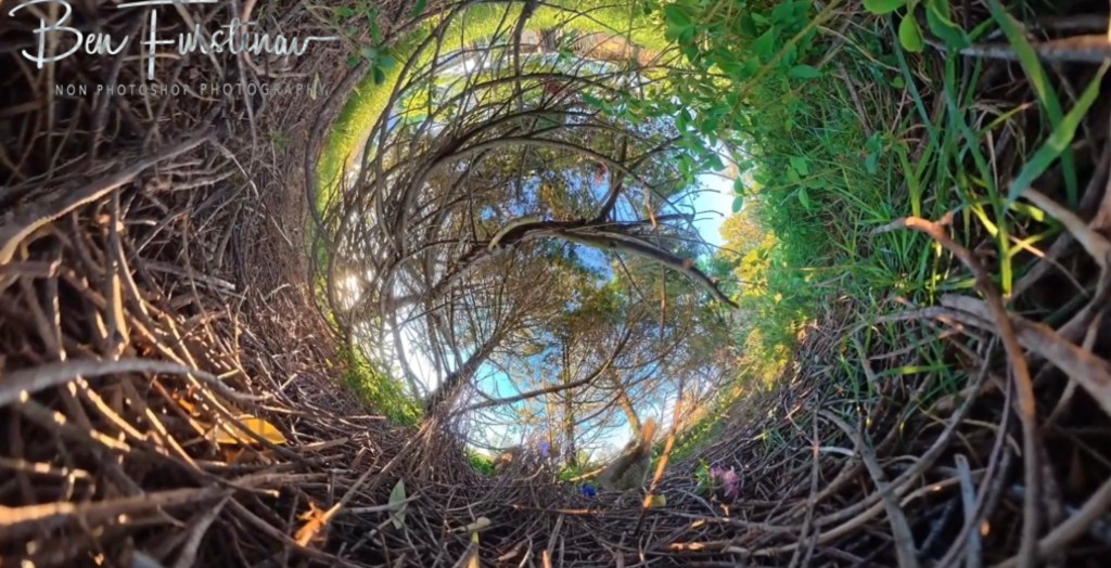 New England, New South Wales, Australia