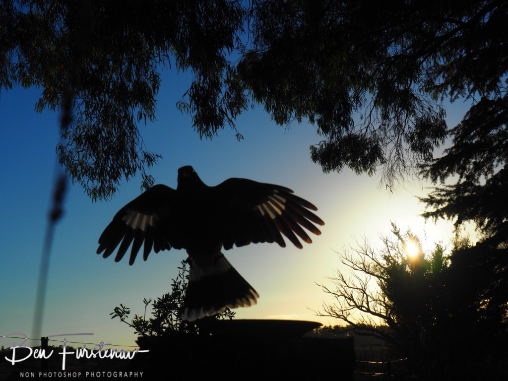 New England, New South Wales, Australia