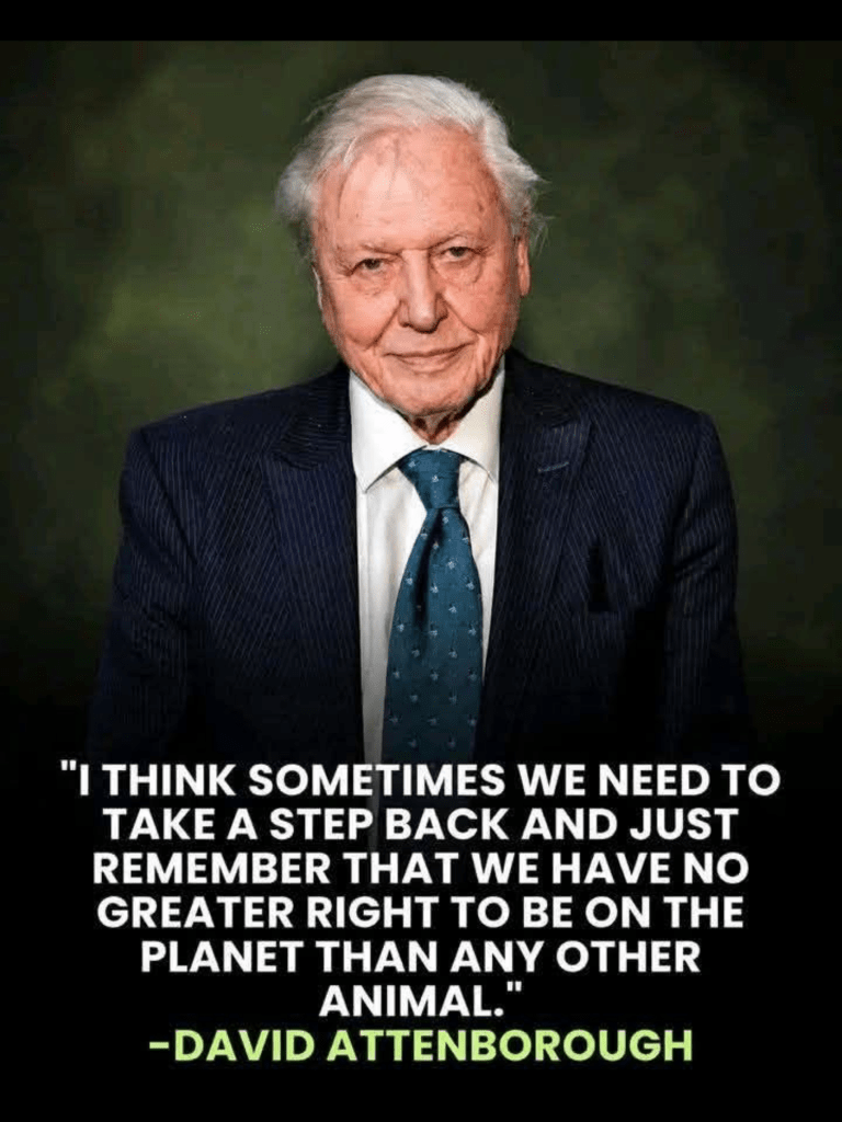 David Attnenborough
