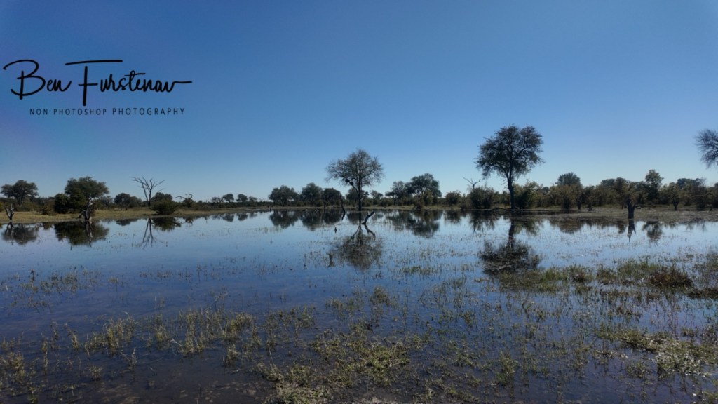 Khwai Community Camp, Khwai, Okavango Delta, Botswana, Africa