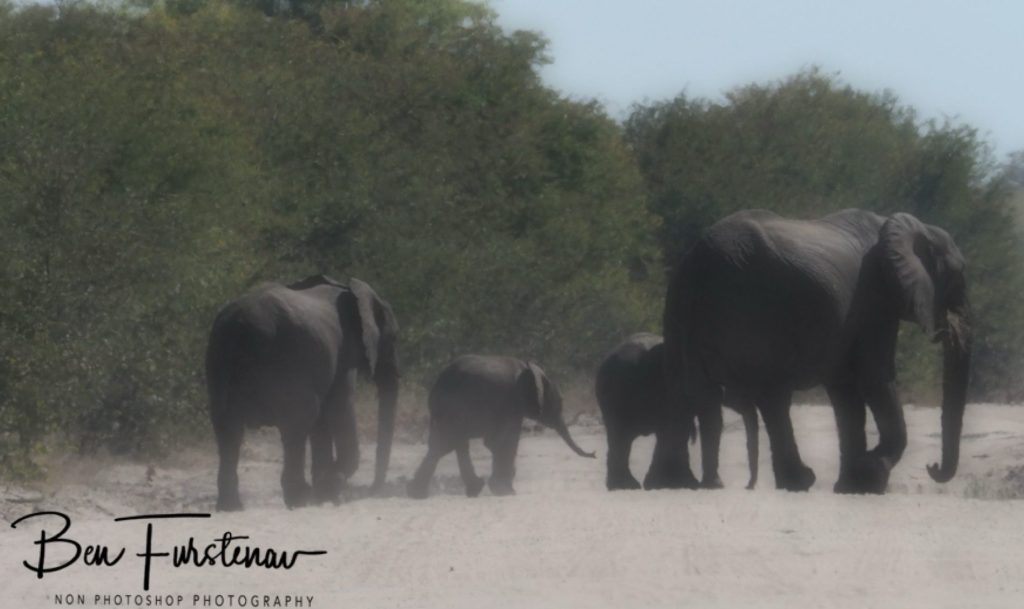 Khwai Community Camp, Khwai, Okavango Delta, Botswana, Africa