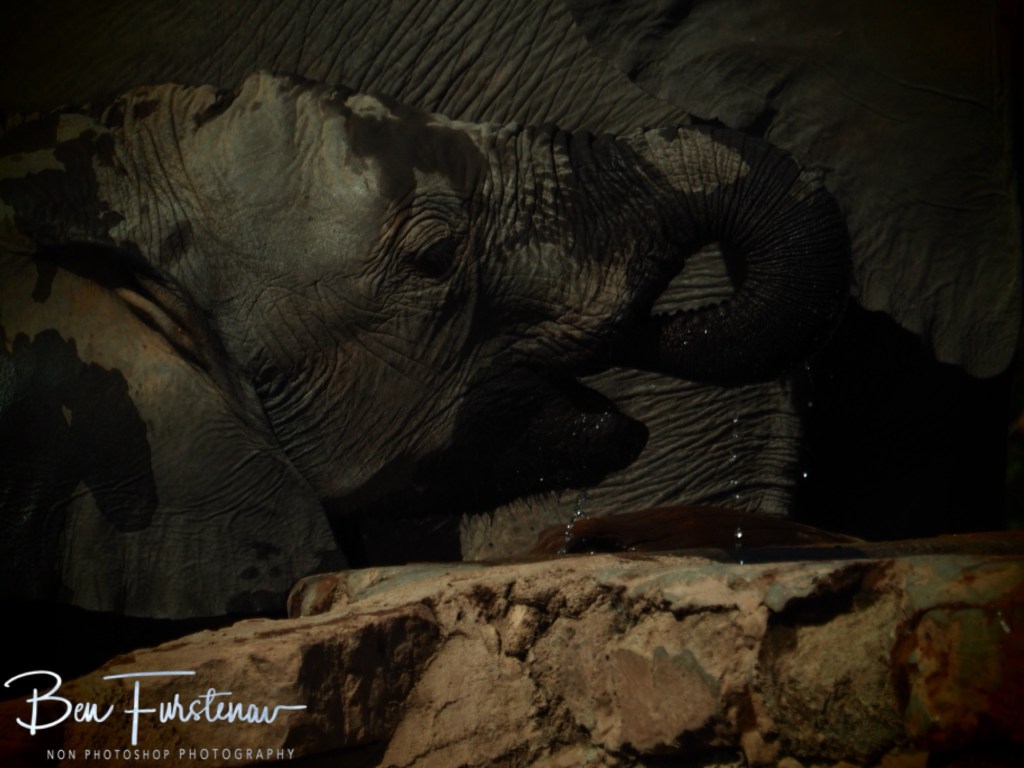 Mopani Farm, Tuli Block, Botswana, Africa