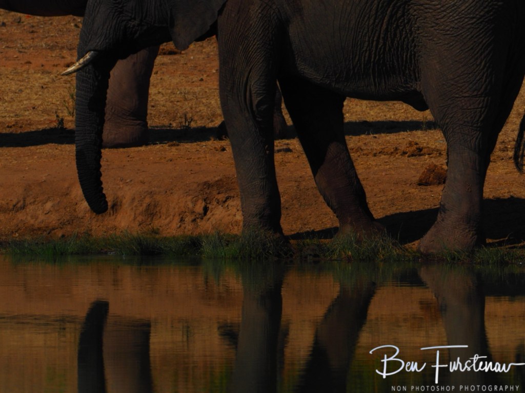 Mopani Farm, Tuli Block, Botswana, Africa