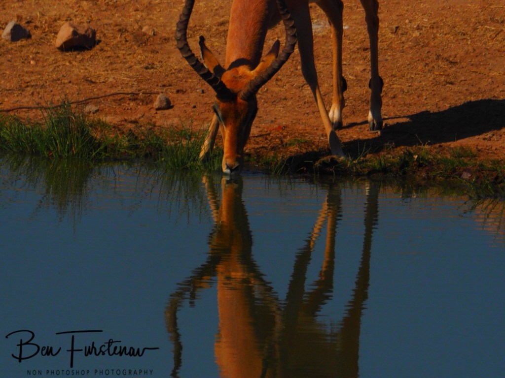 Mopani Farm, Tuli Block, Botswana, Africa