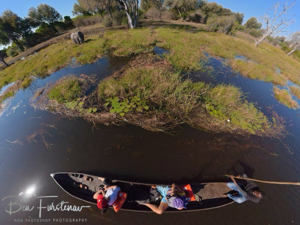 Mopani Farm, Tuli Block, Botswana, Africa