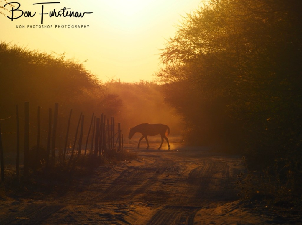 Maun, Botswana, Africa