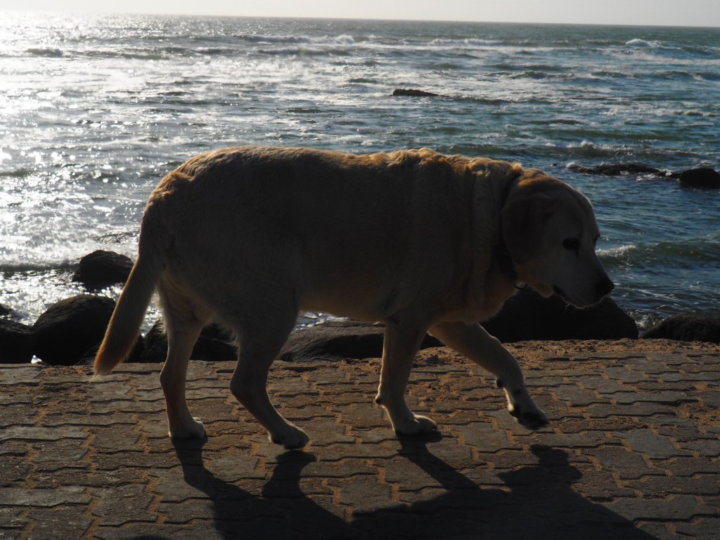 Swakopmund, Namibia, Africa