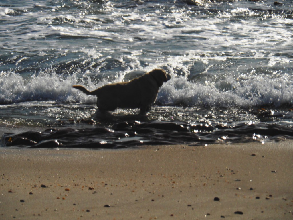 Swakopmund, Namibia, Africa