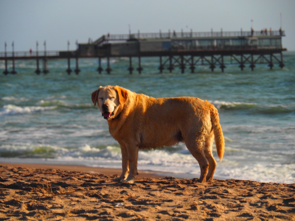 Swakopmund, Namibia, Africa